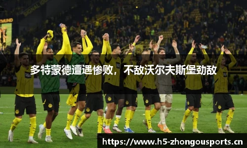 中欧体育平台