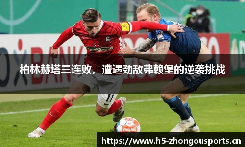 中欧体育平台