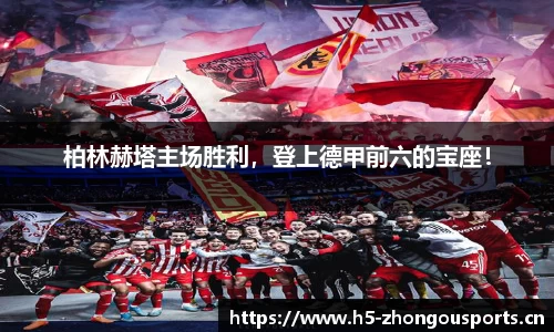 中欧体育平台