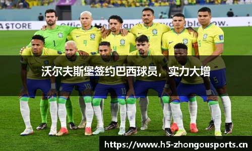 中欧体育官方网站