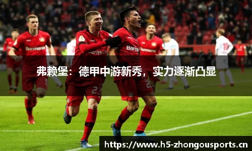 中欧体育平台