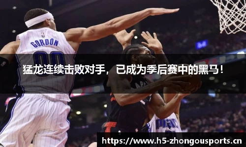 中欧体育官网