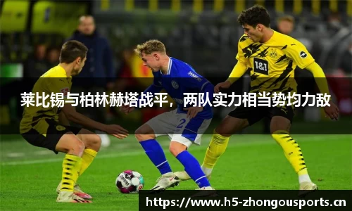 中欧体育平台