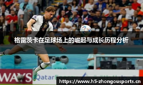 中欧体育